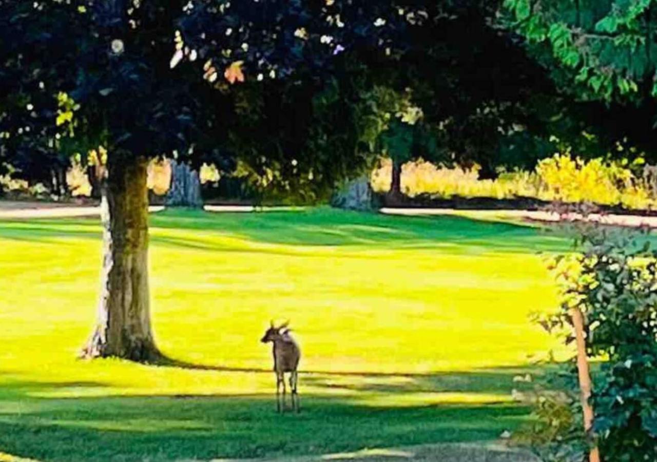 Bed and Breakfast Oceanside Manor - Golf Course View Qualicum Beach Exterior foto